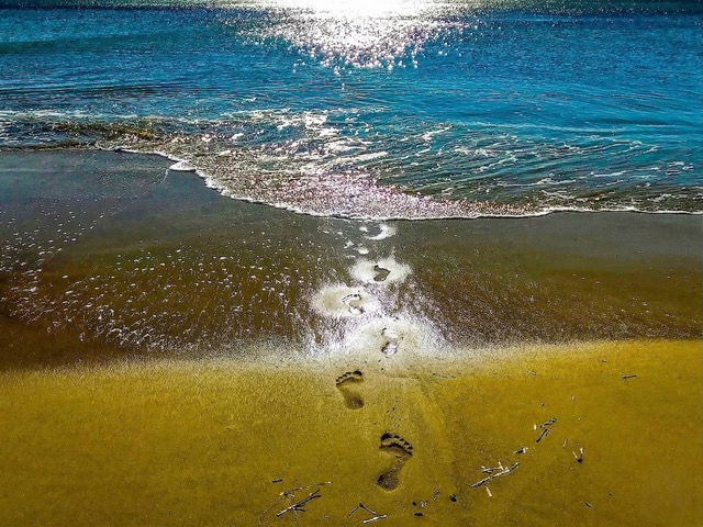 Photographie GPPR