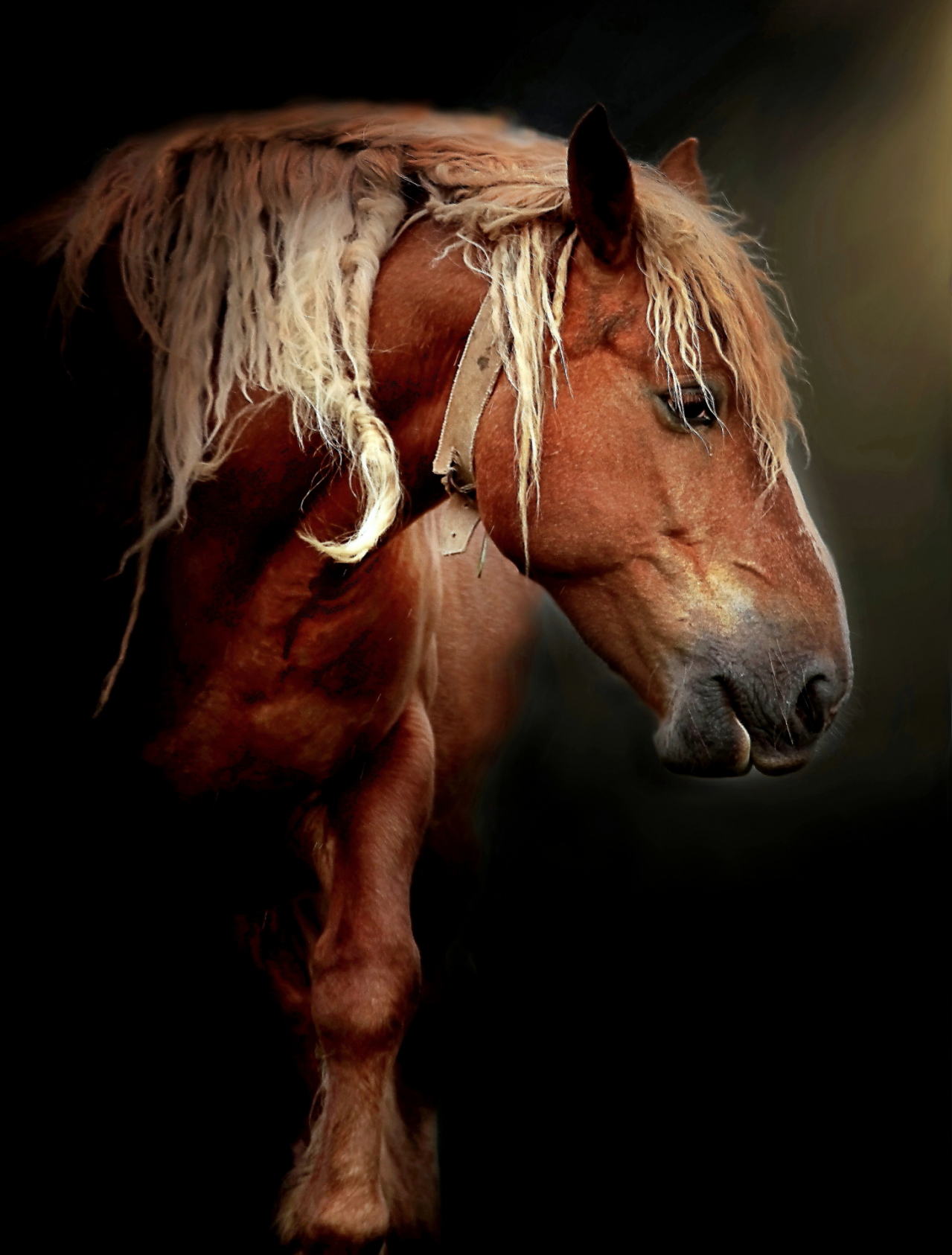 Photographie GPPR