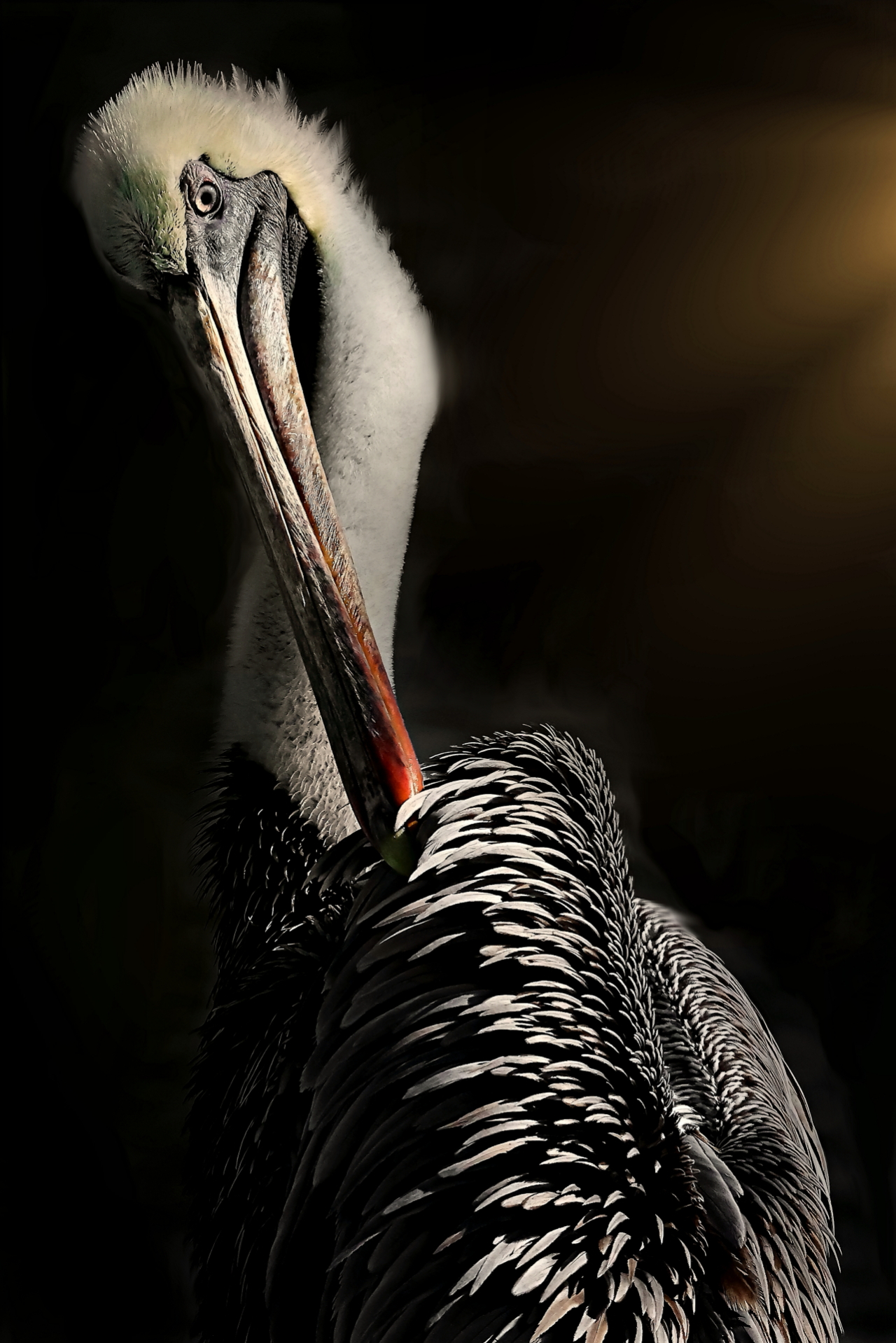 Photographie GPPR