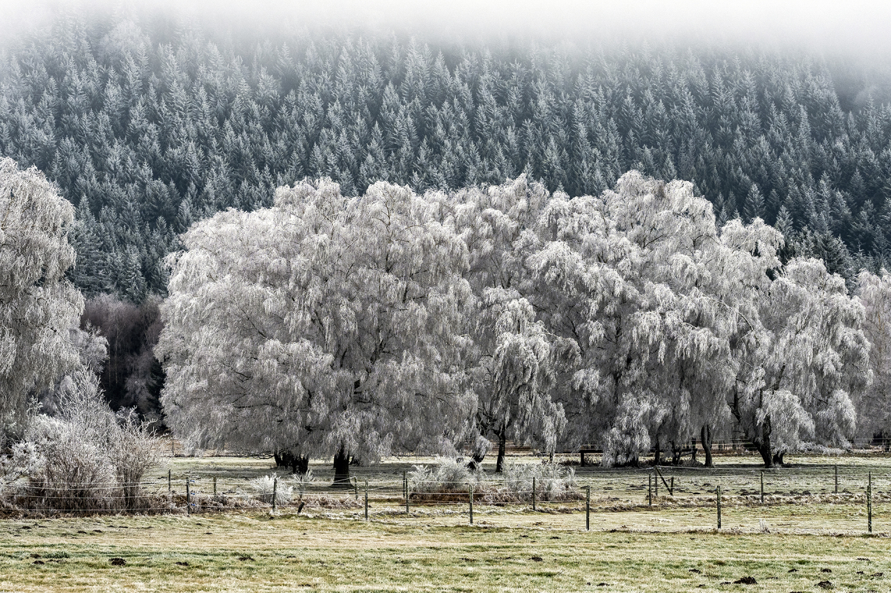 Photographie GPPR